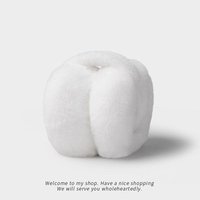  عکس3 گوشگیر پول�شی خارجی